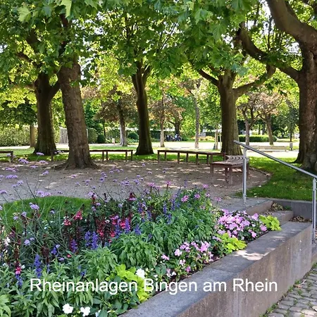 Daire Ferienwohnung Aspisheim