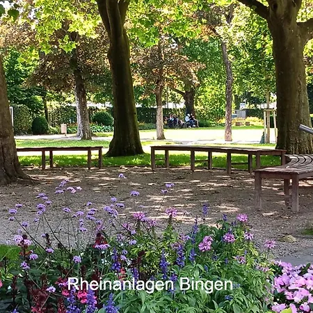 Ferienwohnung Aspisheim Daire *